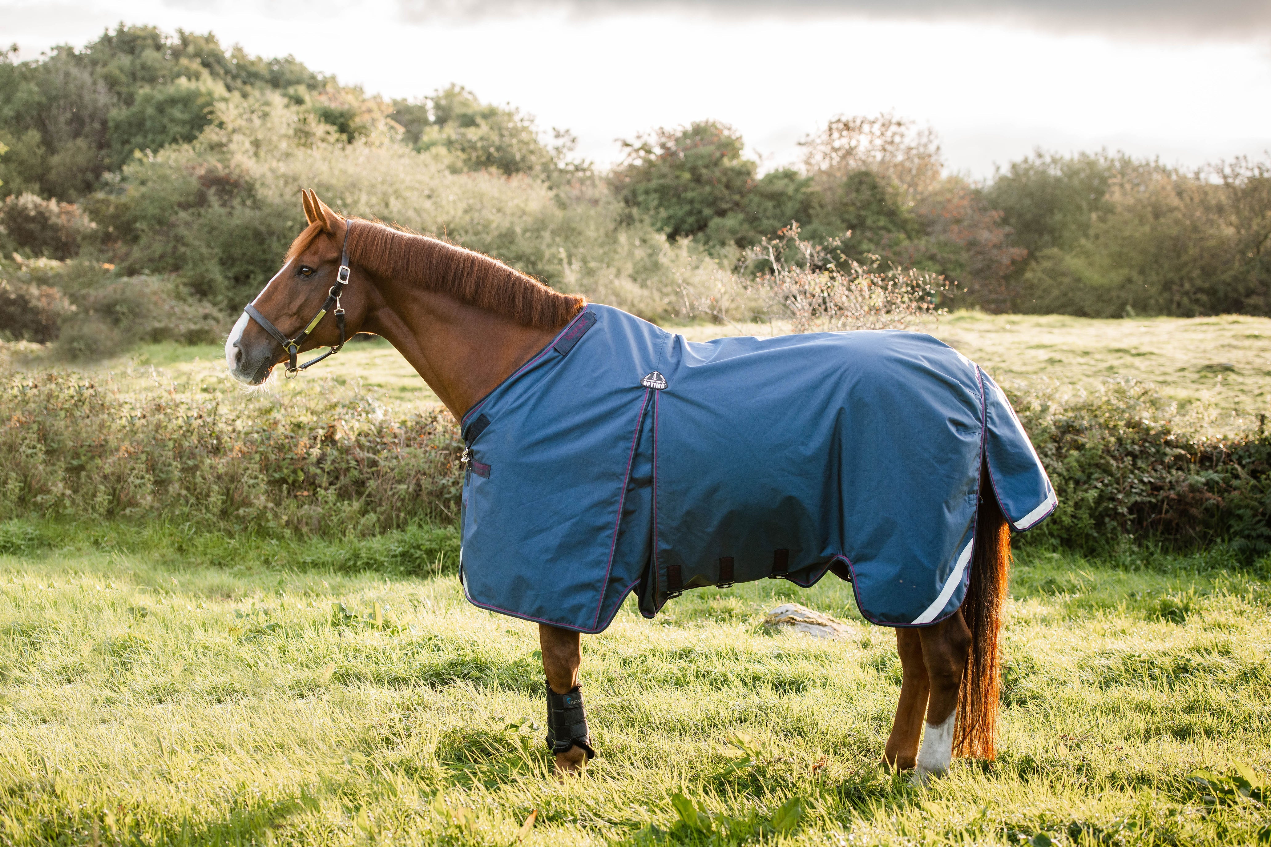 All the Ins and Outs about the Rambo Optimo Turnout