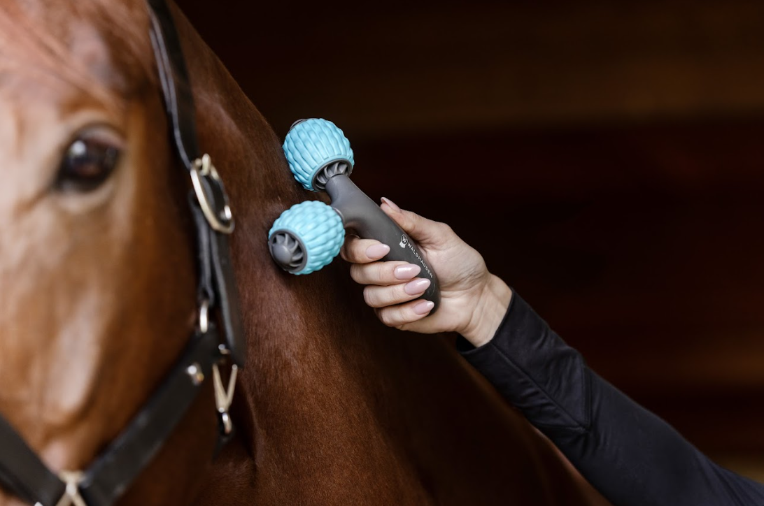 Recovery and Well-Being for Your Horse – Redefined with Waldhausen Health + Care