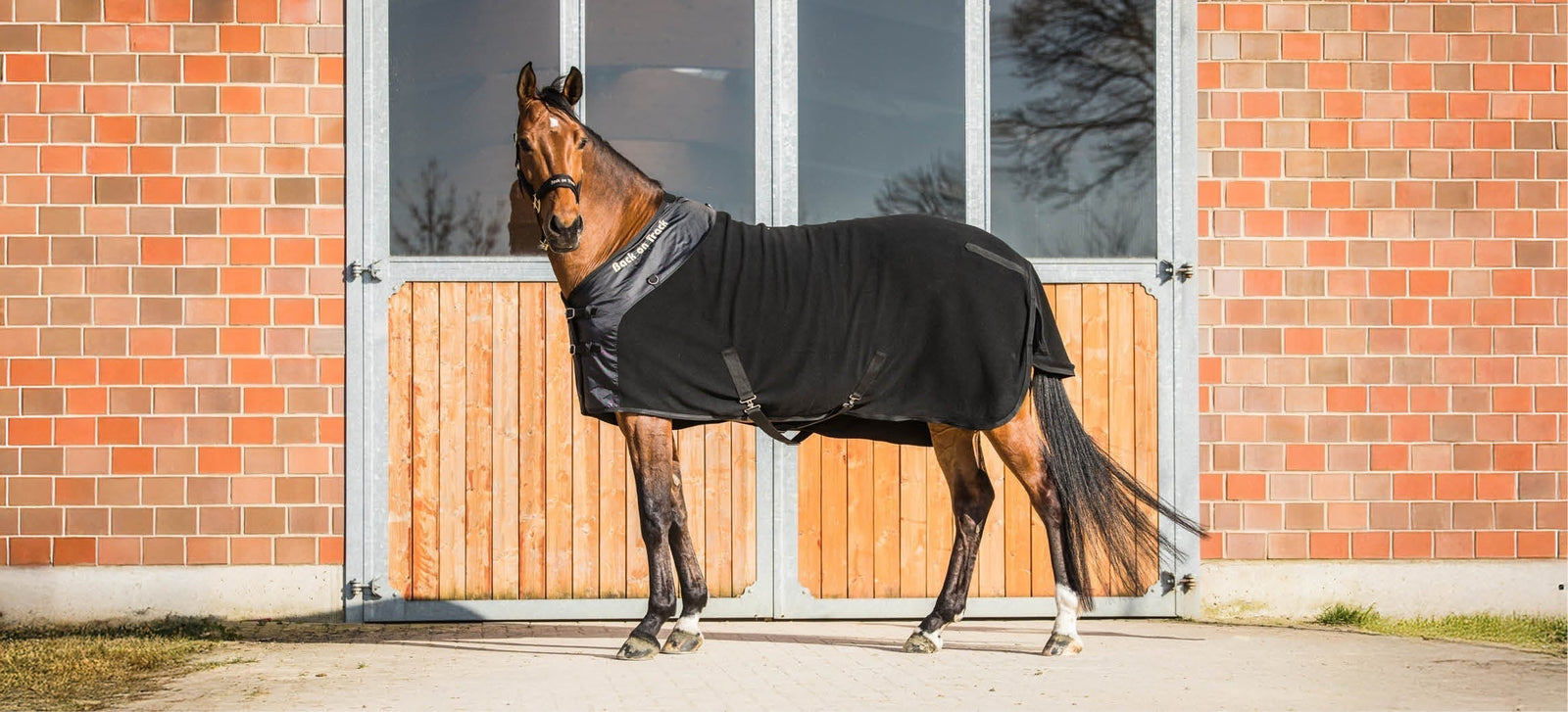 When to use a sweat rug for your horse?