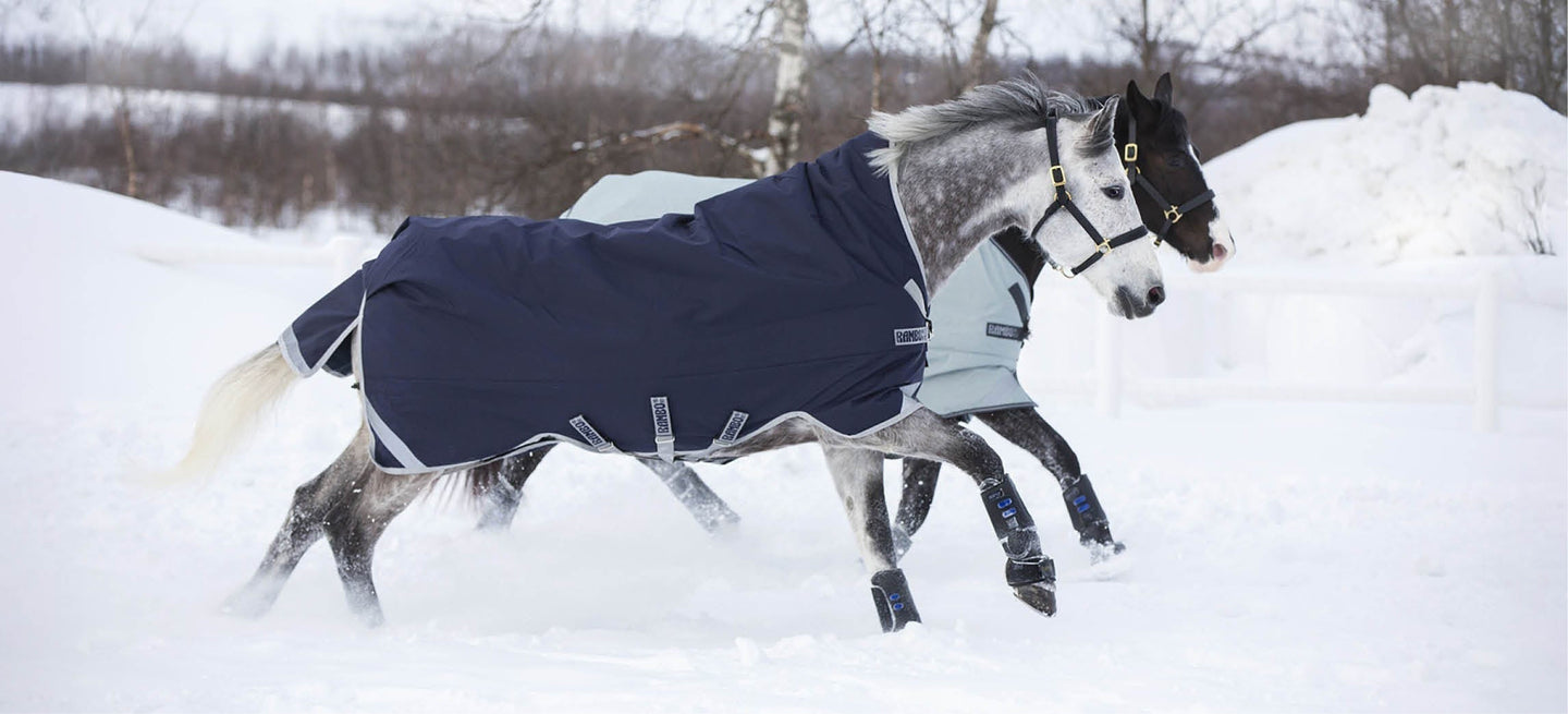 Winter Rug Guide: Which winter rug does my horse need?