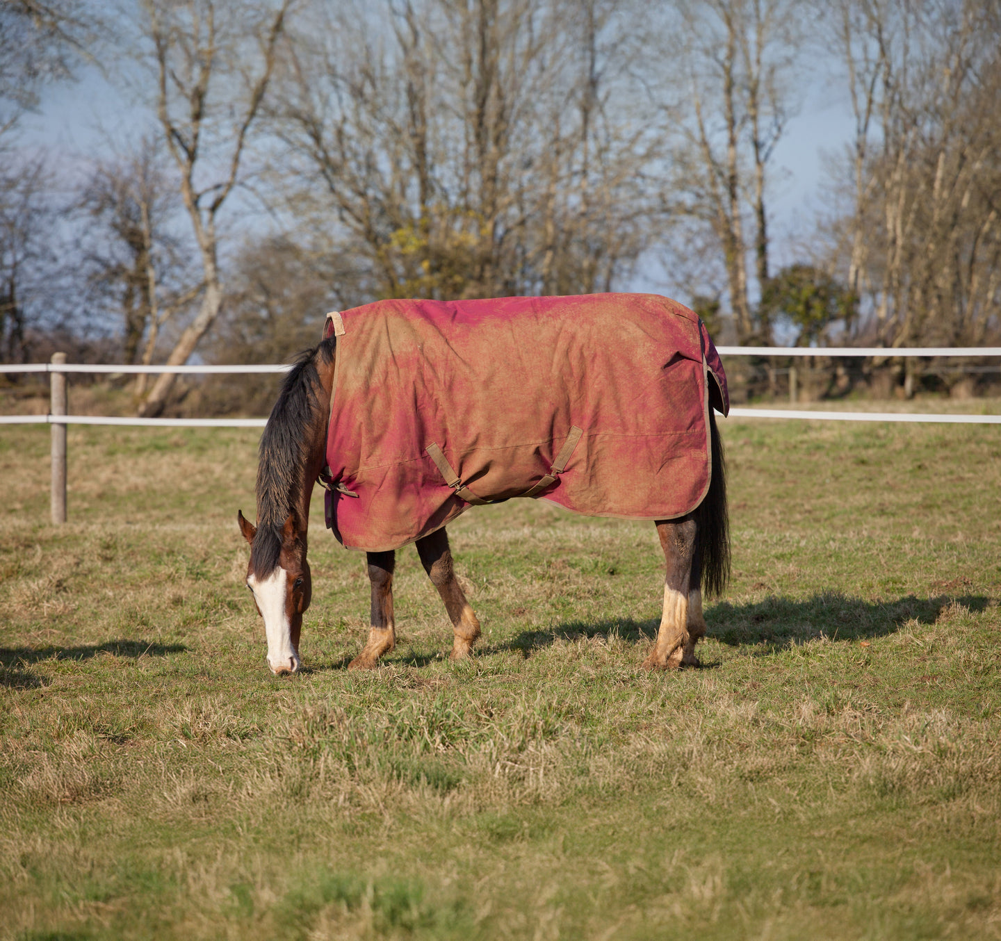 How to wash a horse rug?