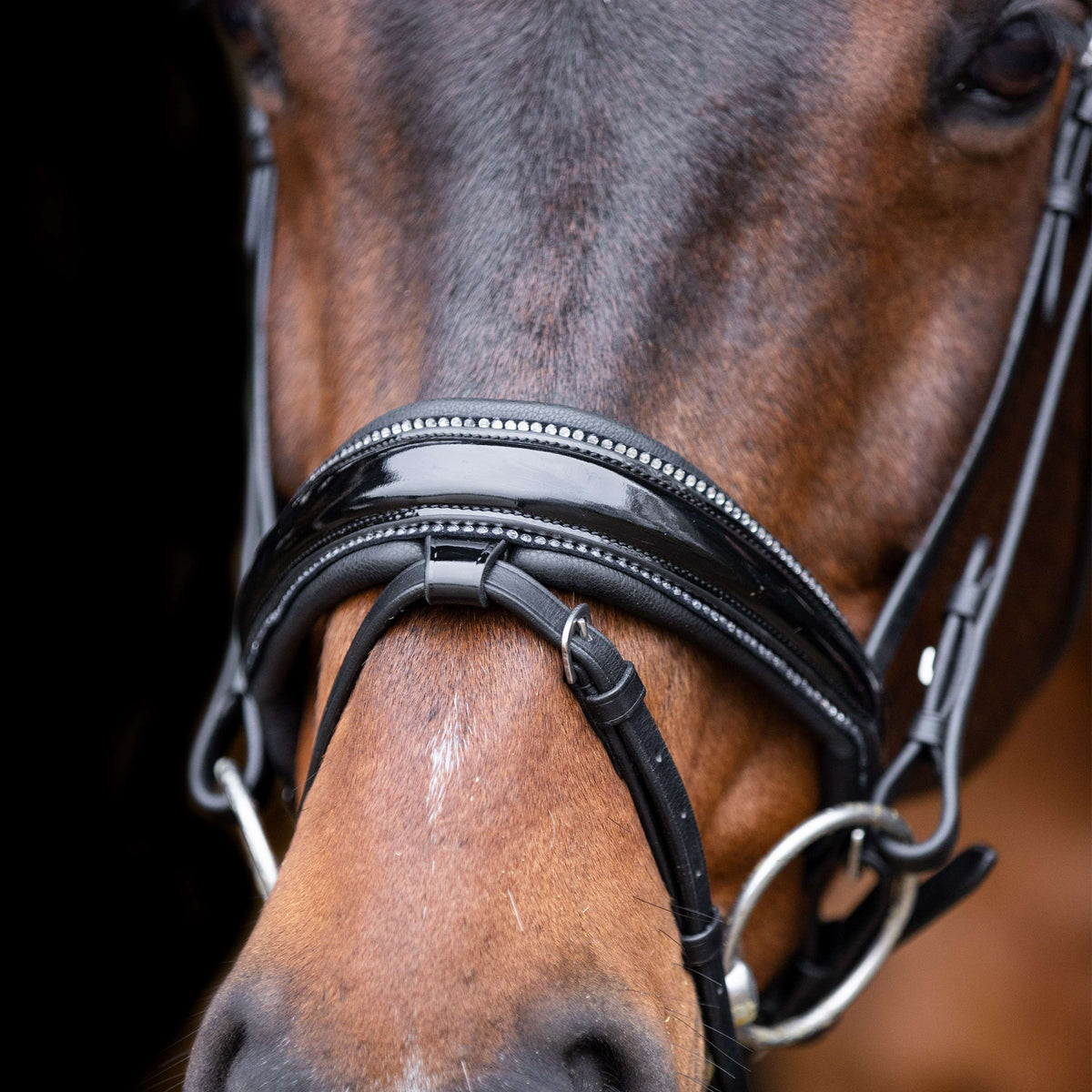 Imperial Riding Bridle IRHOlympia Black/Silver