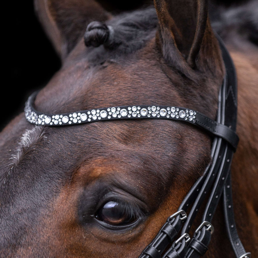 Imperial Riding Bridle IRHOlympia Black/Silver