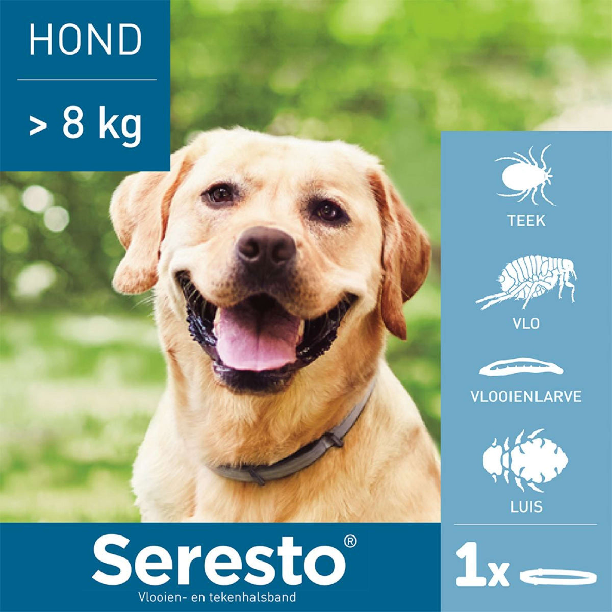 Seresto Tick and Flea Collar Large Dog from 8kg