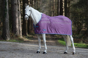 Weatherbeeta Sweat Rug Scrim Standard Neck Violet/Blue