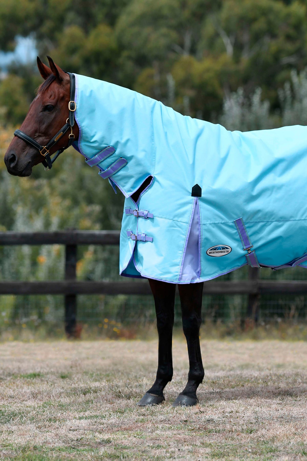 Weatherbeeta Rain Rug Comfitec Classic Combo Neck Lite light blue/purple