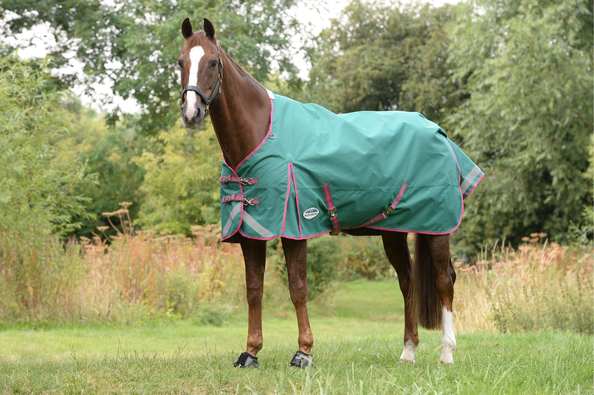 Weatherbeeta Rain Rug Comfitec Plus Dynamic II Standard Neck Lite Green/Grey/Red