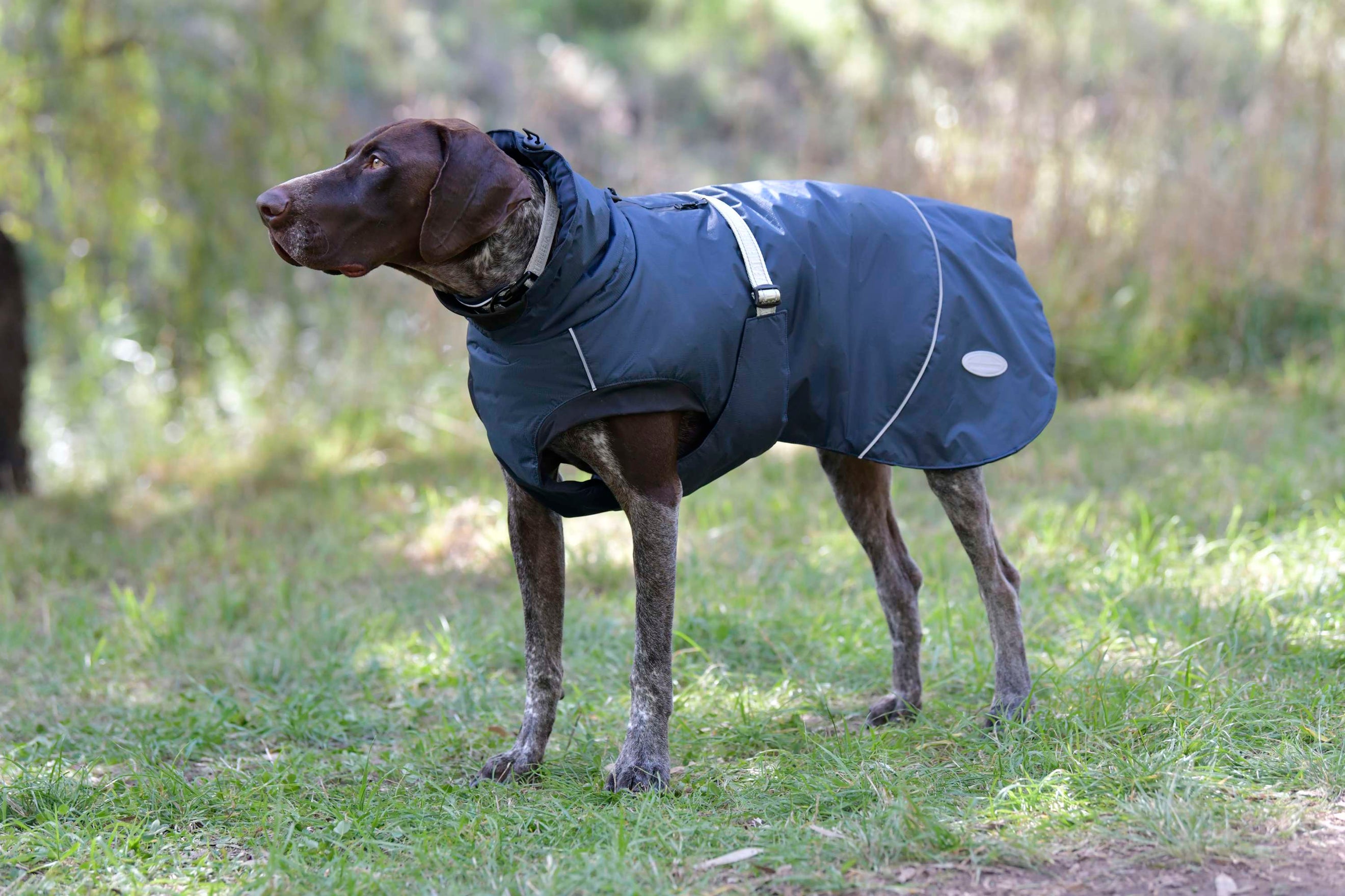 Weatherbeeta Dog Rug Explorer Medium Navy