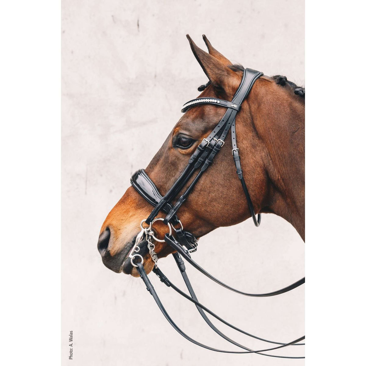 Schockemöhle Weymouth Bridle Classic Line Venice Black/Patent/Silver