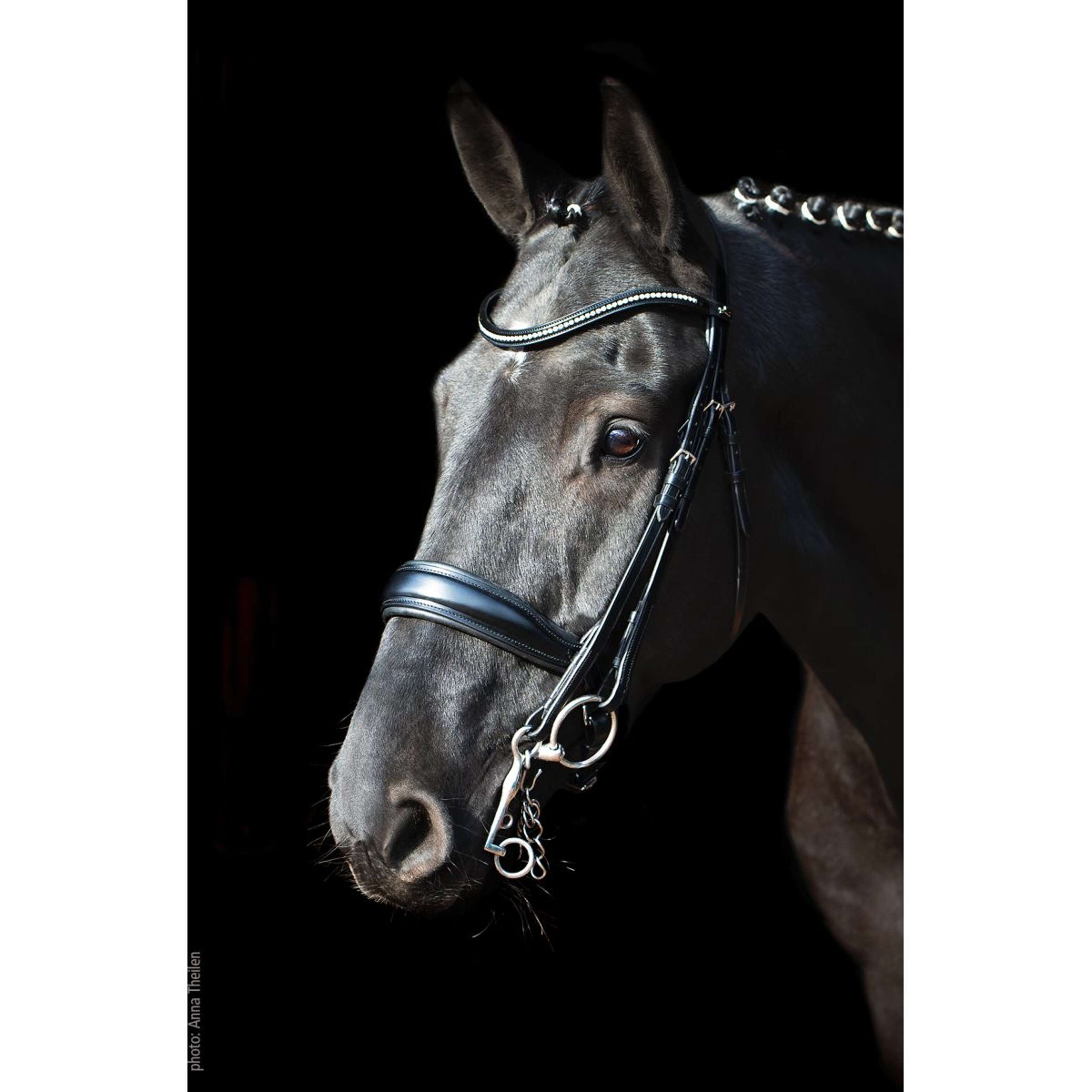 Schockemöhle Double Bridle Classic Line Milan Black/White