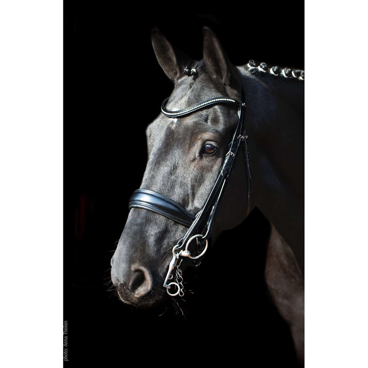 Schockemöhle Double Bridle Classic Line Milan Black/Silver