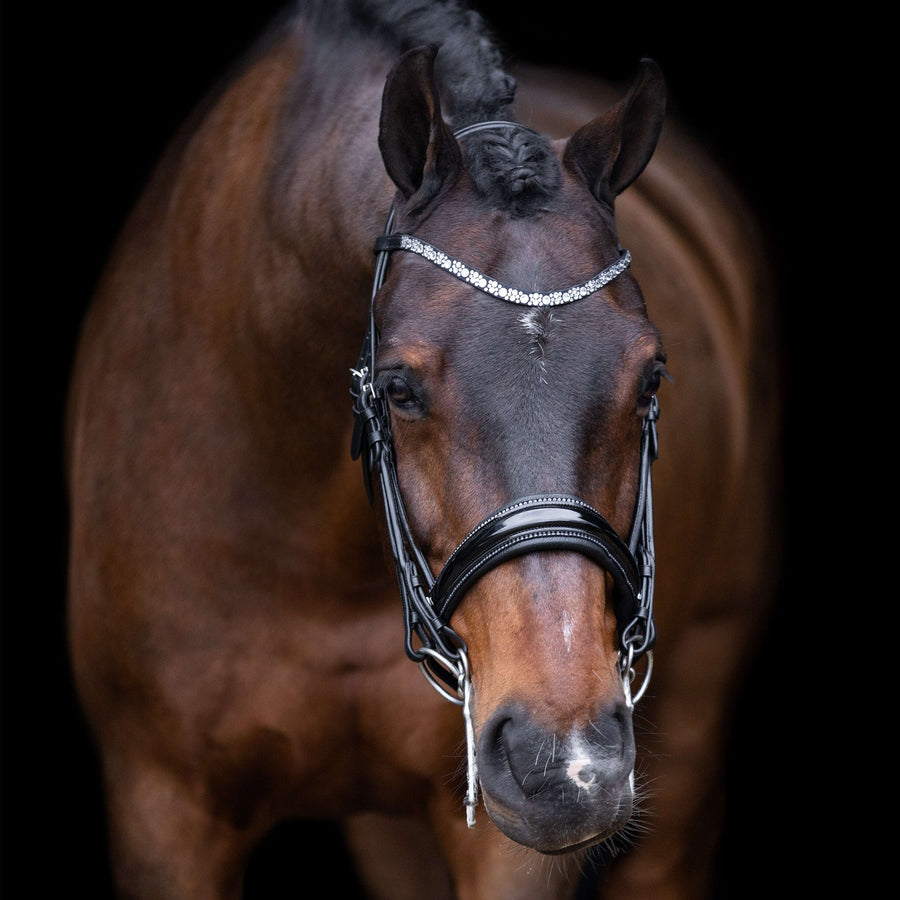Imperial Riding Double Bridle IRHOlympia Black/Silver