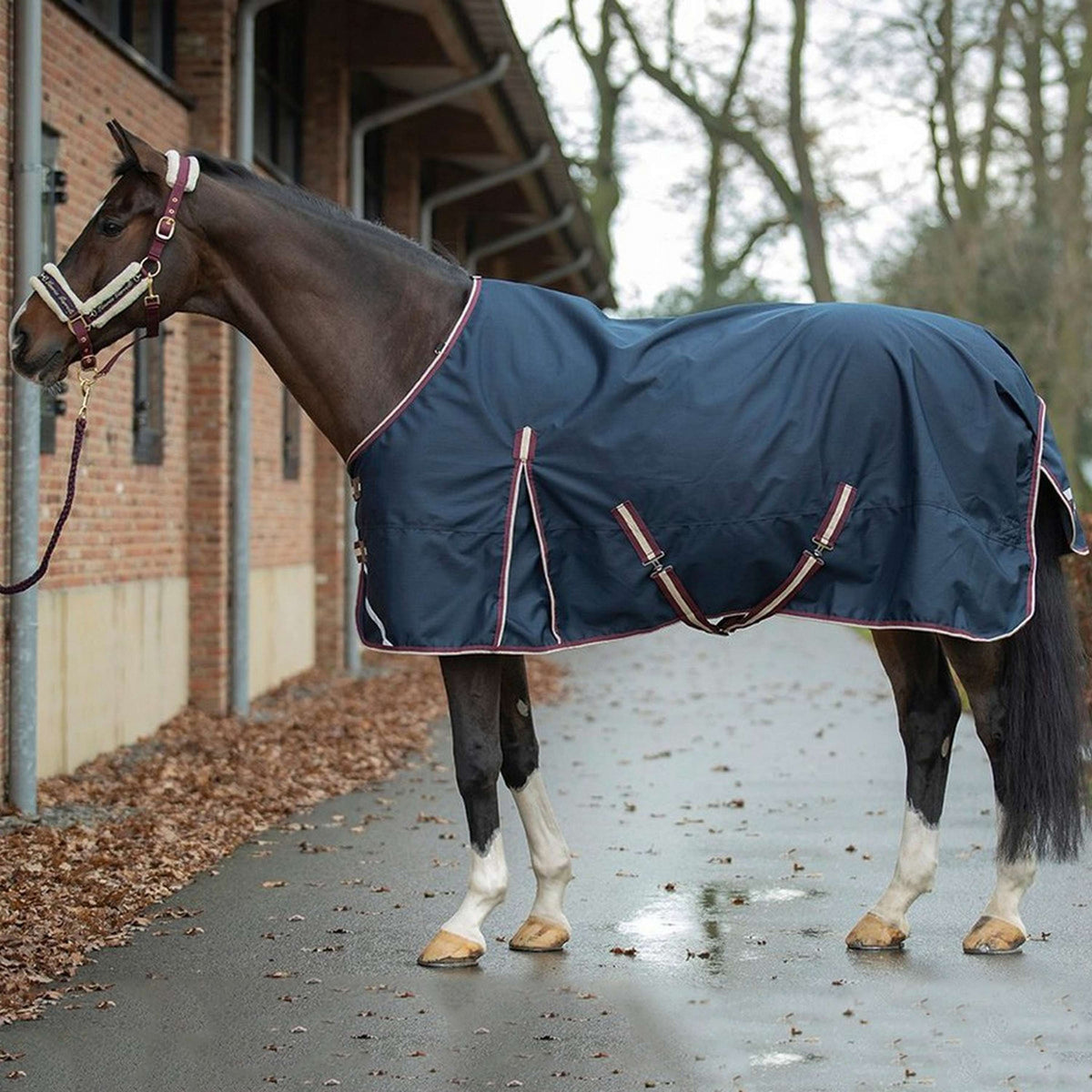 HKM Outdoor Rug Combi 100/300g Darkblue