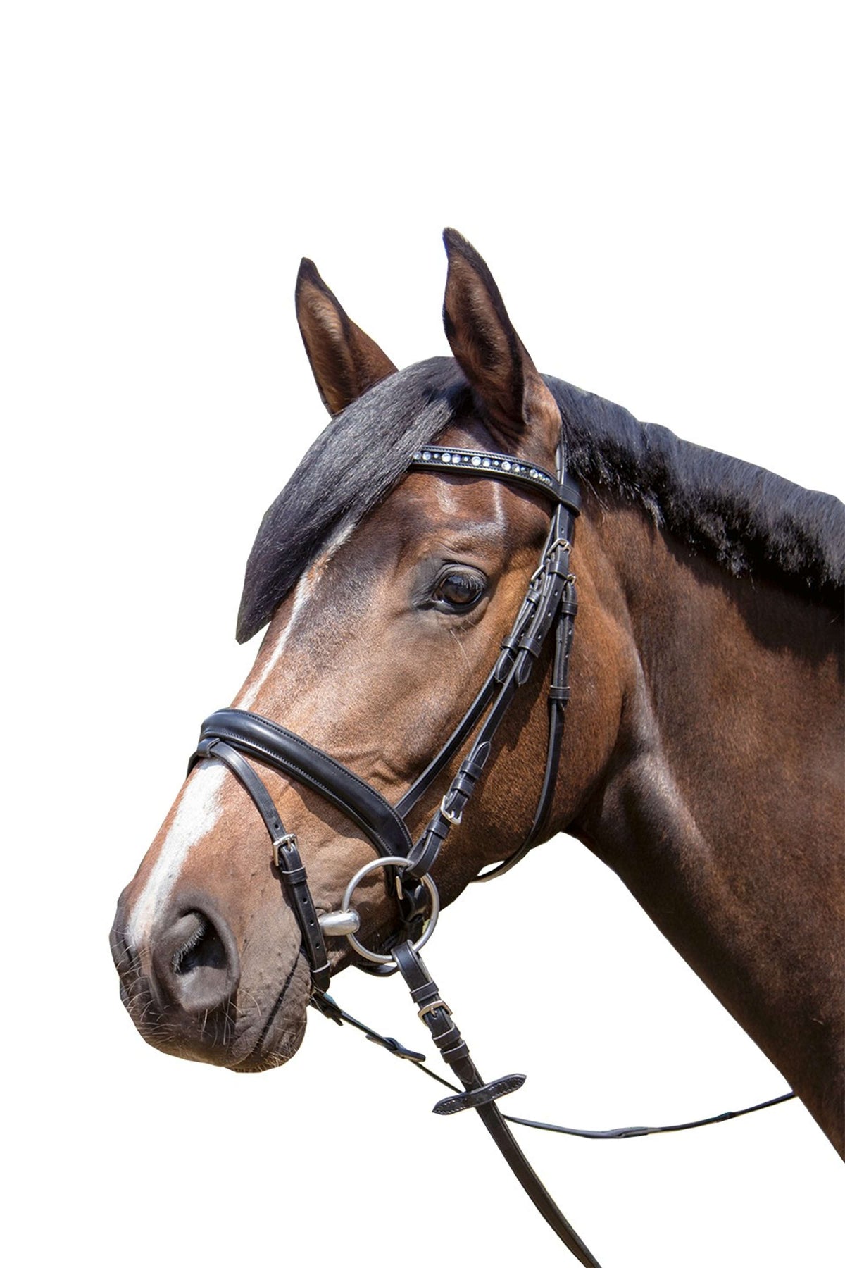 HKM Bridle Luna Black