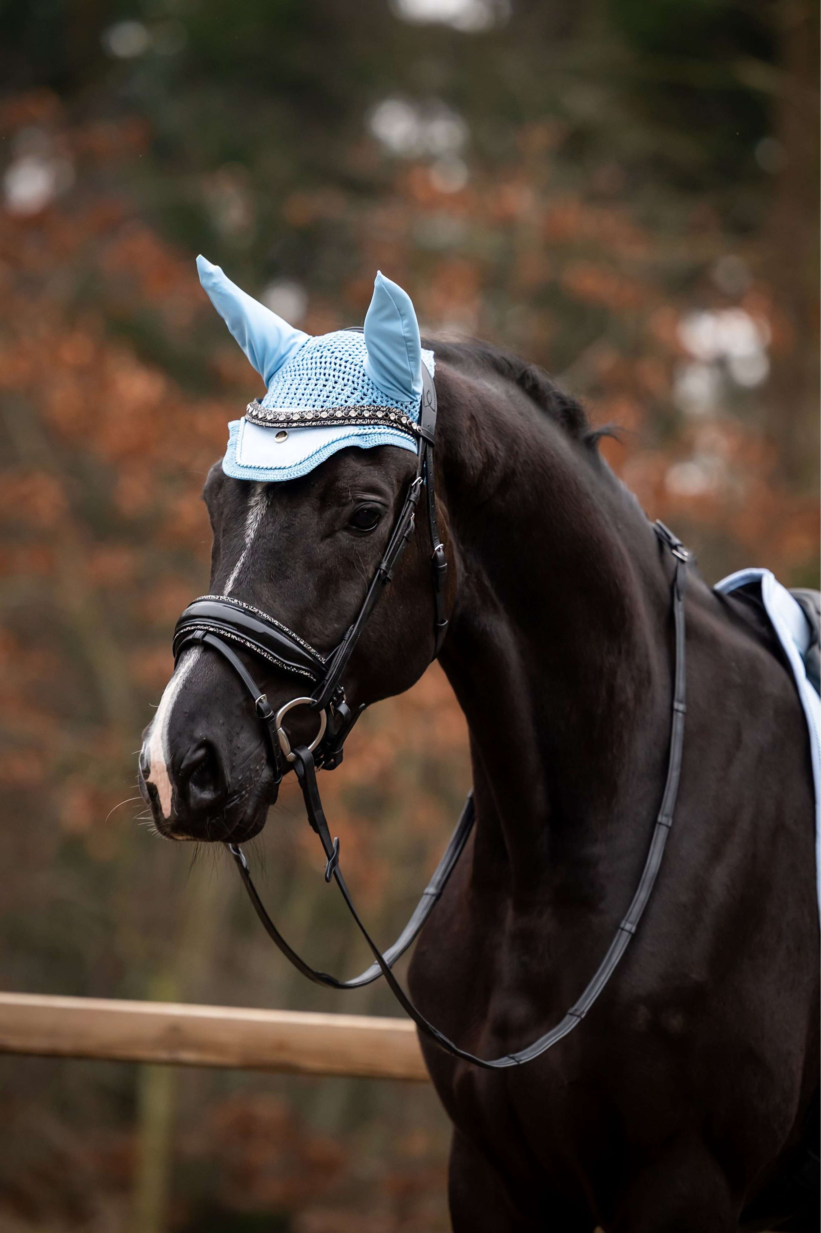 Showtime Ear Bonnet Spring Lightblue Showtime Ear Bonnet Spring Lightblue