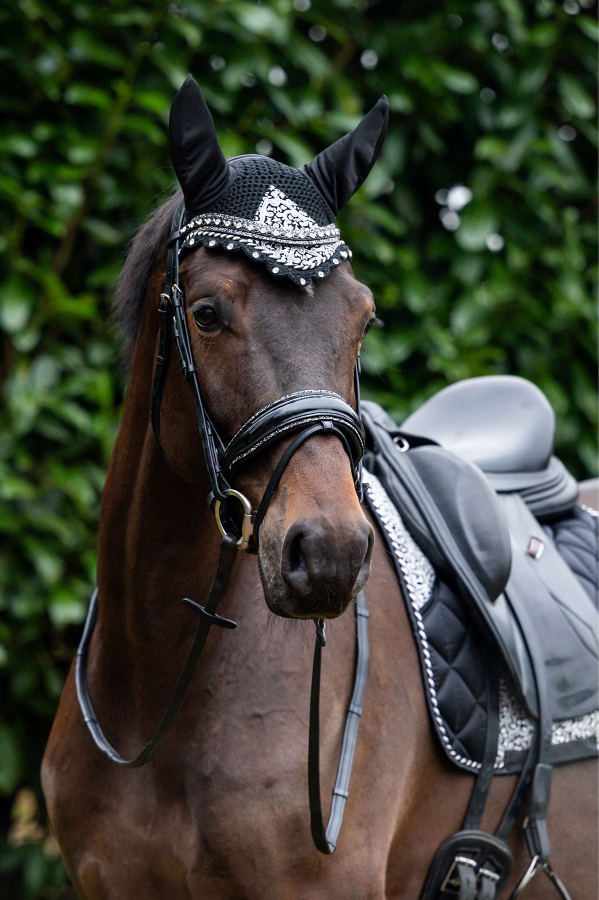 Showtime Ear Bonnet Rio Black