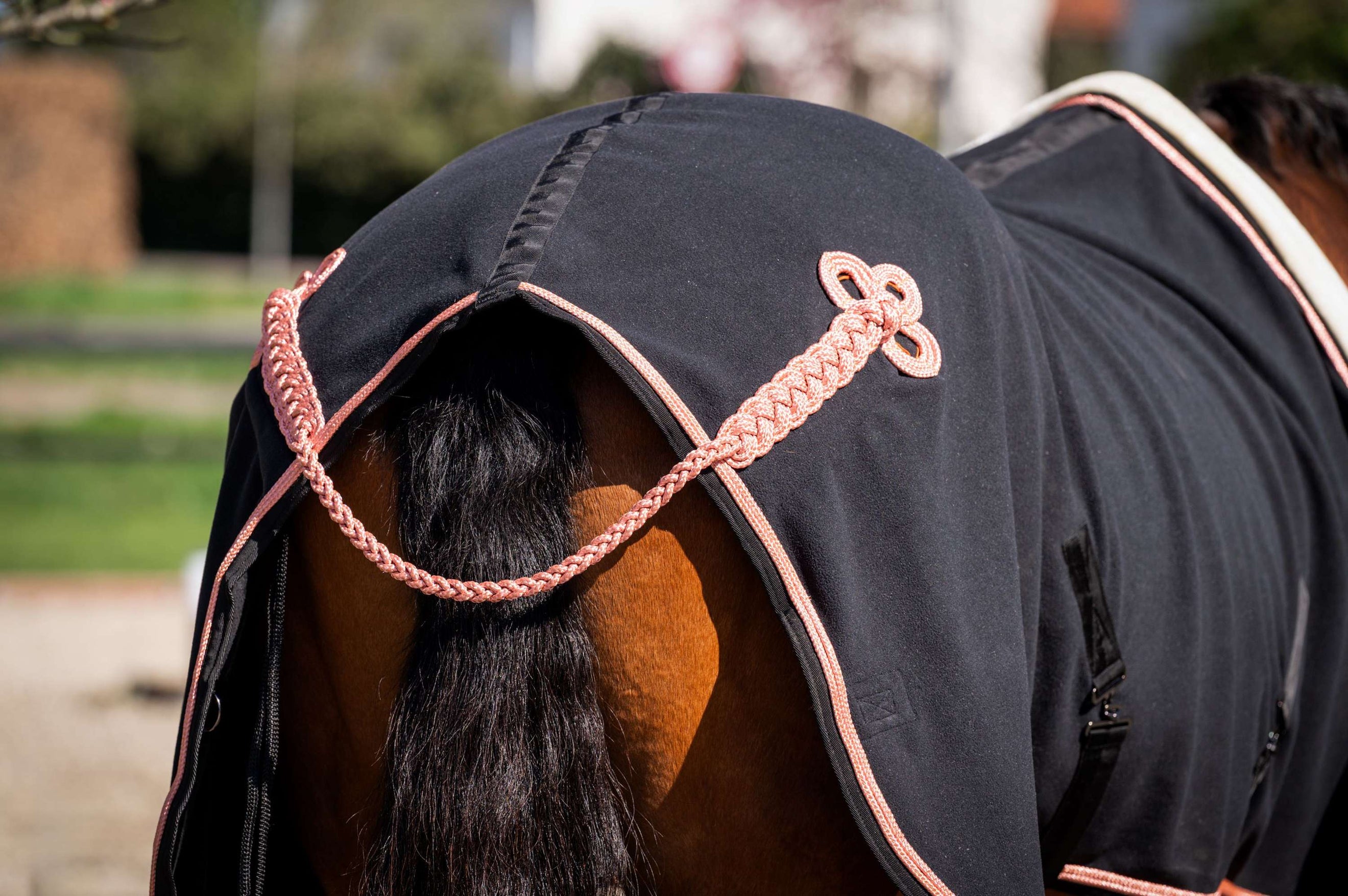 HB Show Rug Showtime Rose Gold with a Hood Black HB Show Rug Showtime Rose Gold with a Hood Black