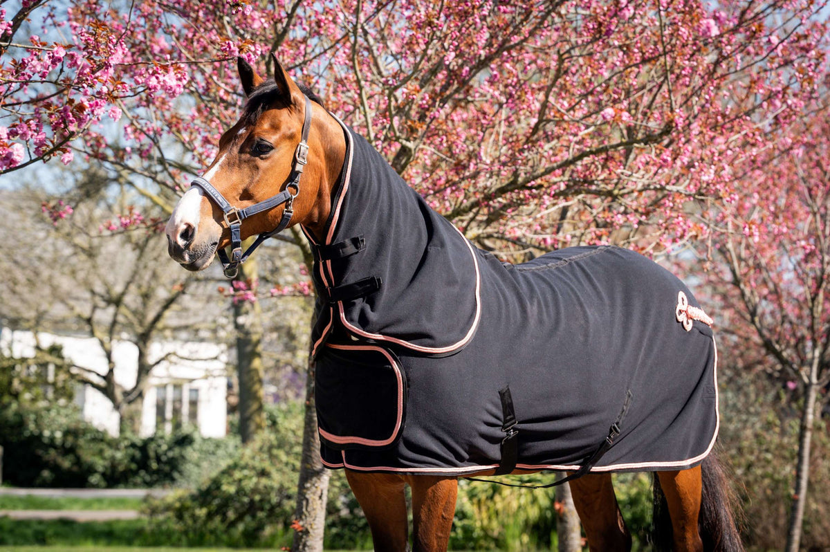 HB Show Rug Showtime Rose Gold with a Hood Black