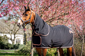 HB Show Rug Showtime Rose Gold with a Hood Black