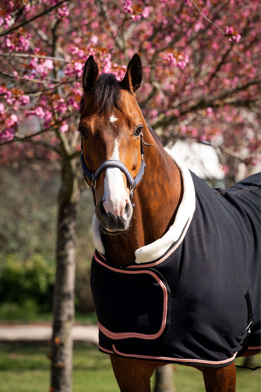 HB Show Rug Showtime Rose Gold Black