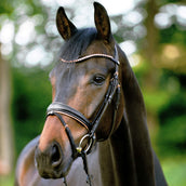 Kavalkade Snaffle Bridle Rose Black