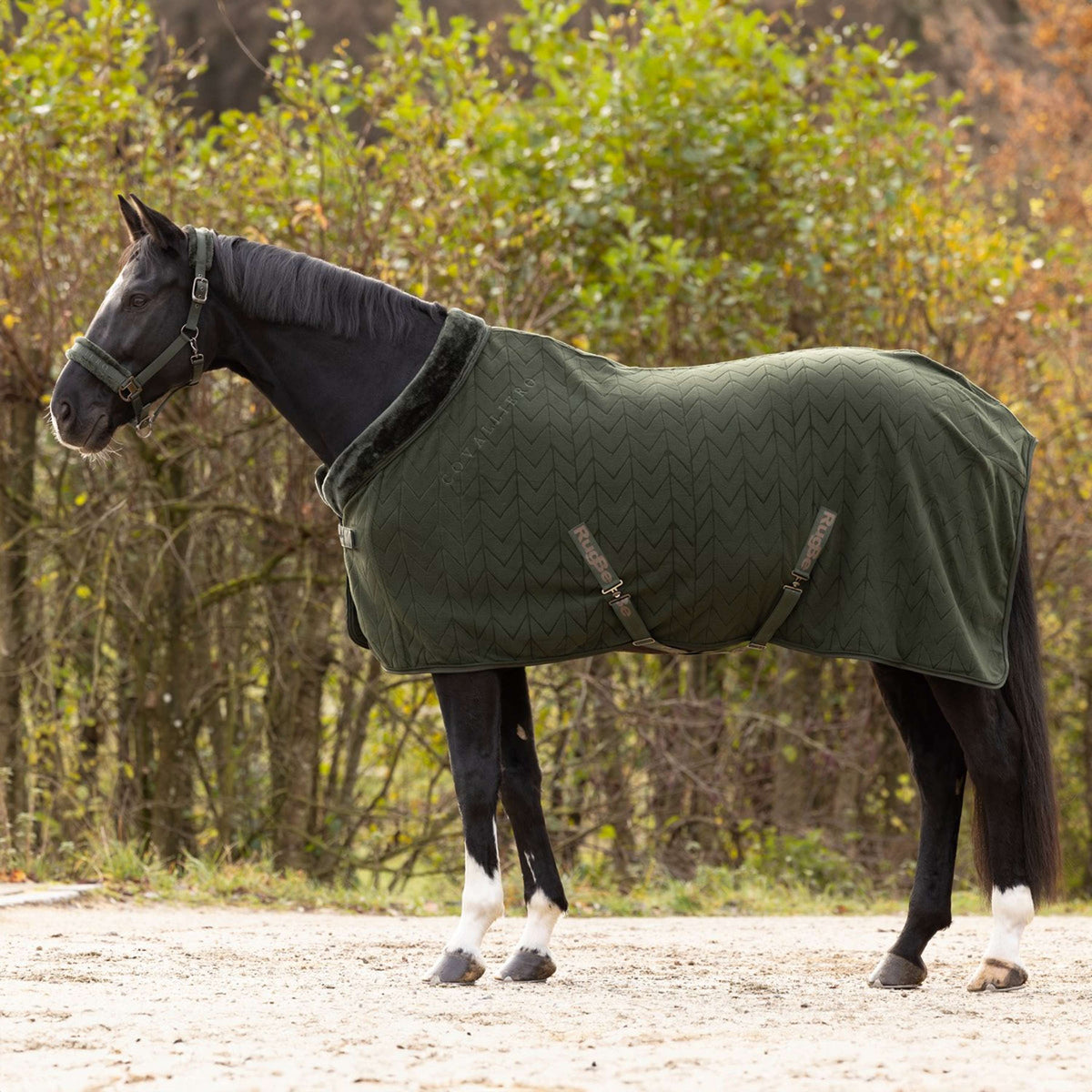 Covalliero Fleece Rug AW24 Opal Green