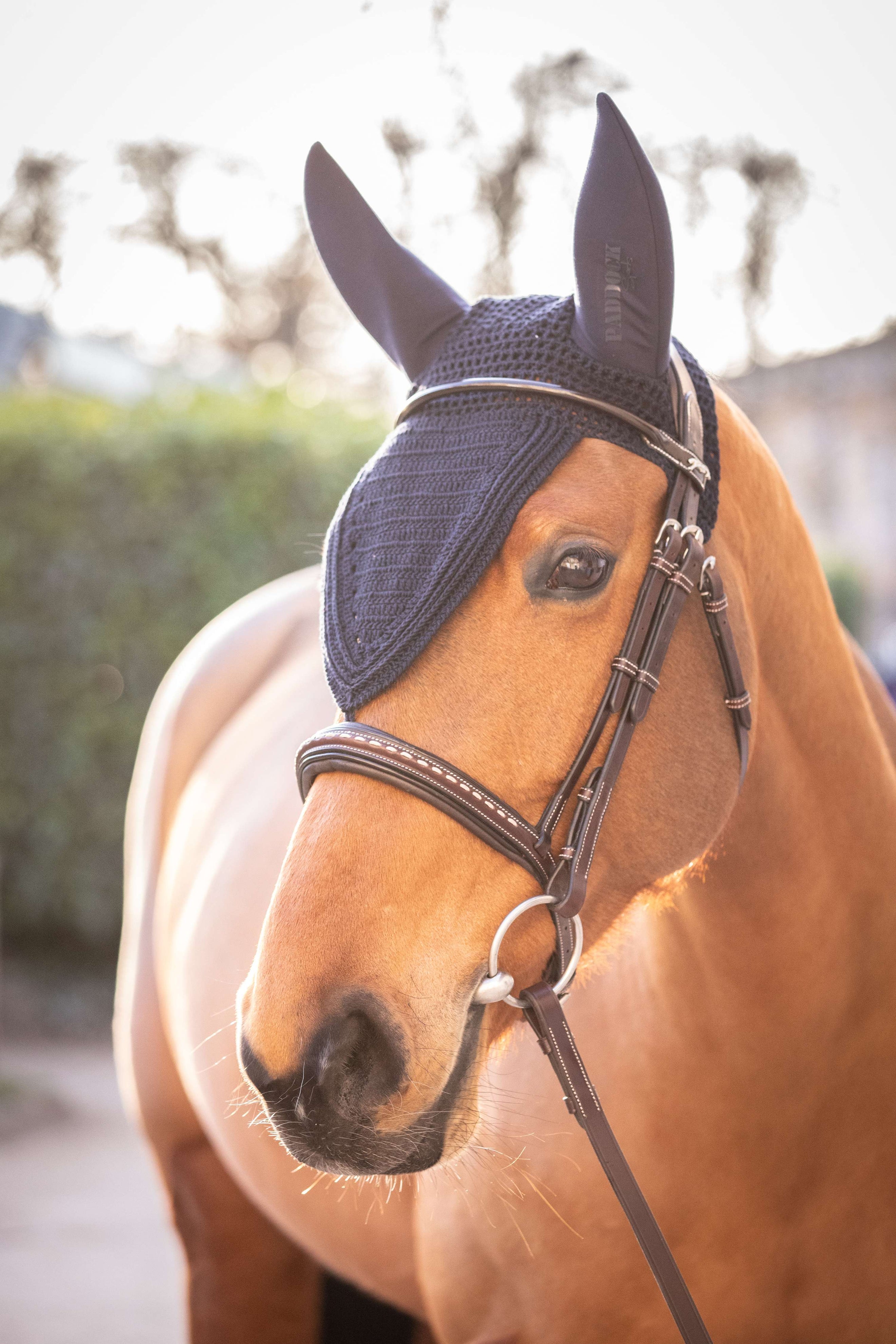 Paddock Ear Bonnet Long Soundless Navy