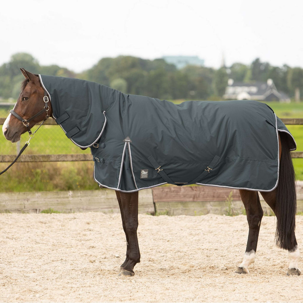 Harry's Horse Outdoor Rug Thor 200g with a Hood Ebony