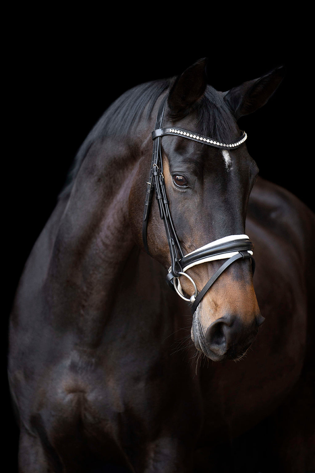 Imperial Riding Bridle IRHFria Trens Black/White