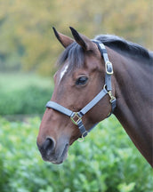 Shires Headcollar Topaz Nylon Grey