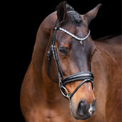 Imperial Riding Bridle IRHOlympia Black/Silver