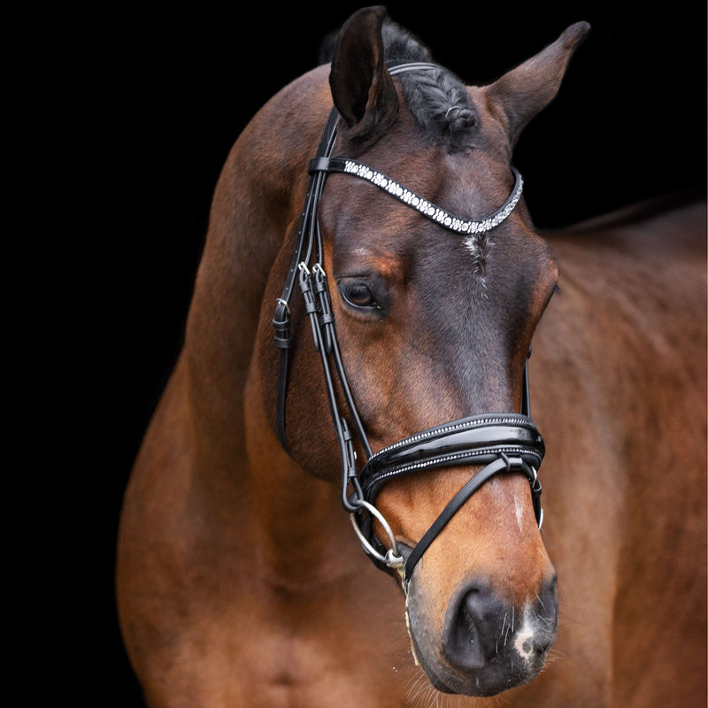 Imperial Riding Bridle IRHOlympia Black/Silver