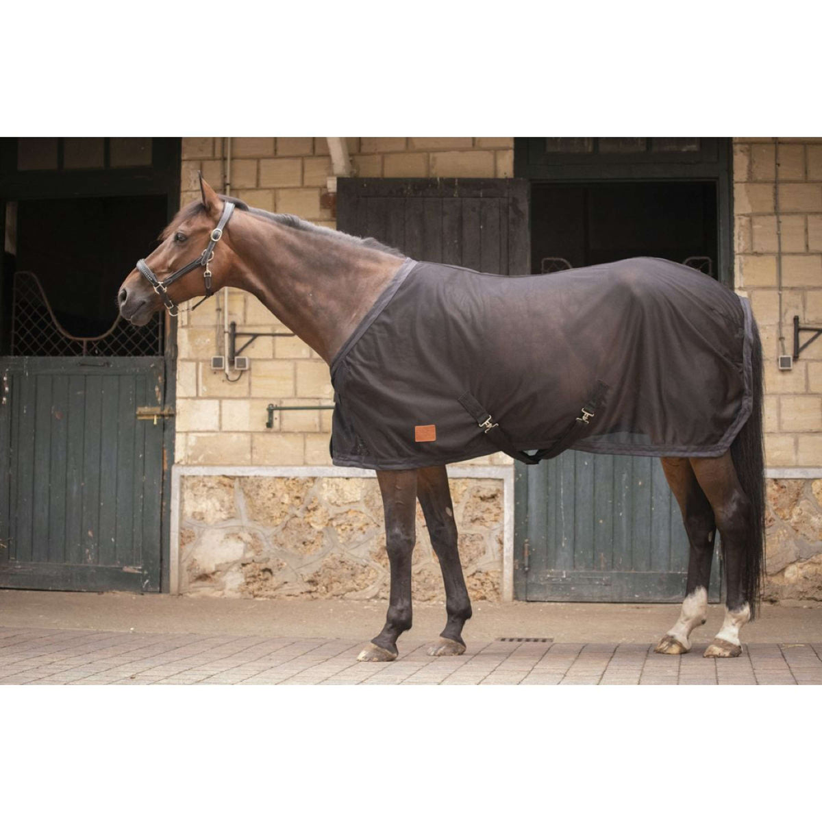 Paddock Rug Can Can Mesh Black