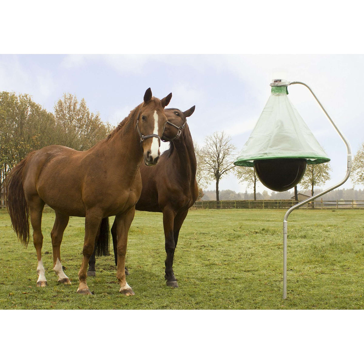 H-Trap Horse-fly Trap