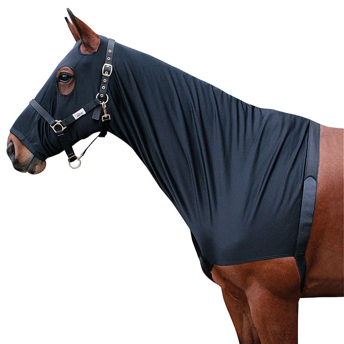 Harry's Horse Lycra Chest Protector with Hood Black