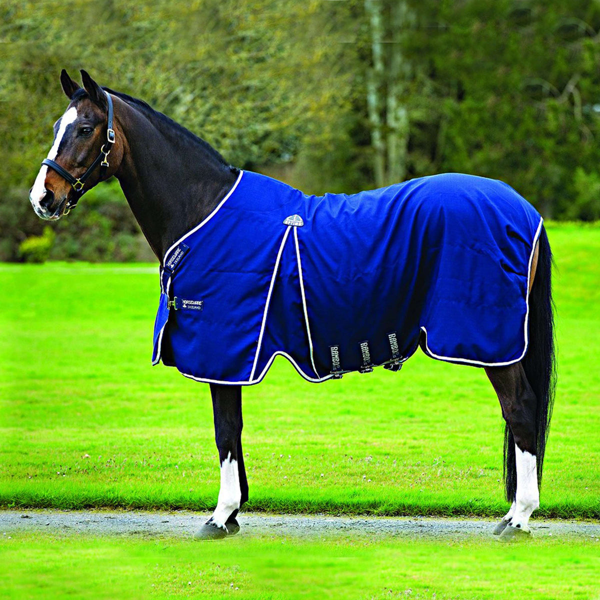 Rambo Optimo Stable Rug Navy Beige