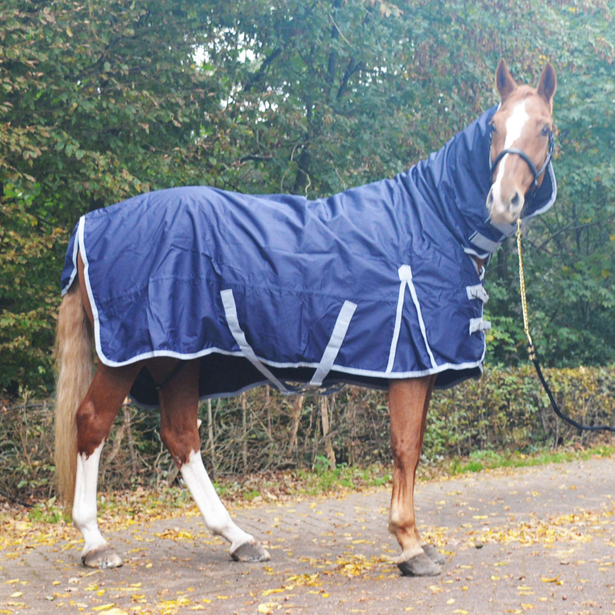 Premiere Rain Rug All Year 600D 0g Fleece with Hood Dress Blue