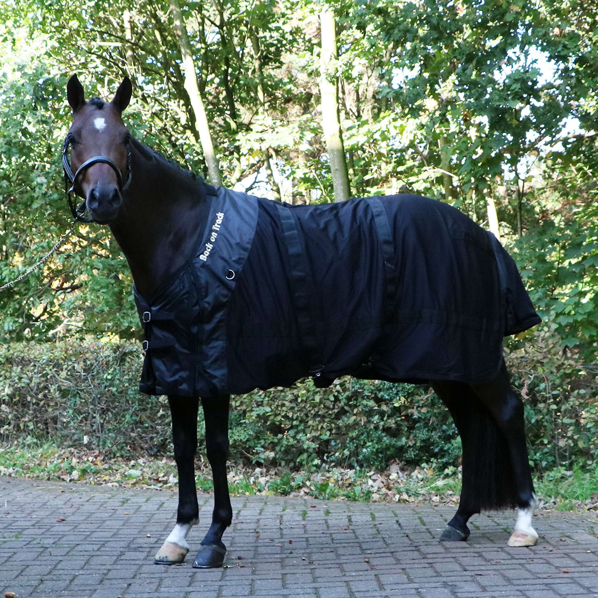 Back on Track Mesh Rug Horse Black