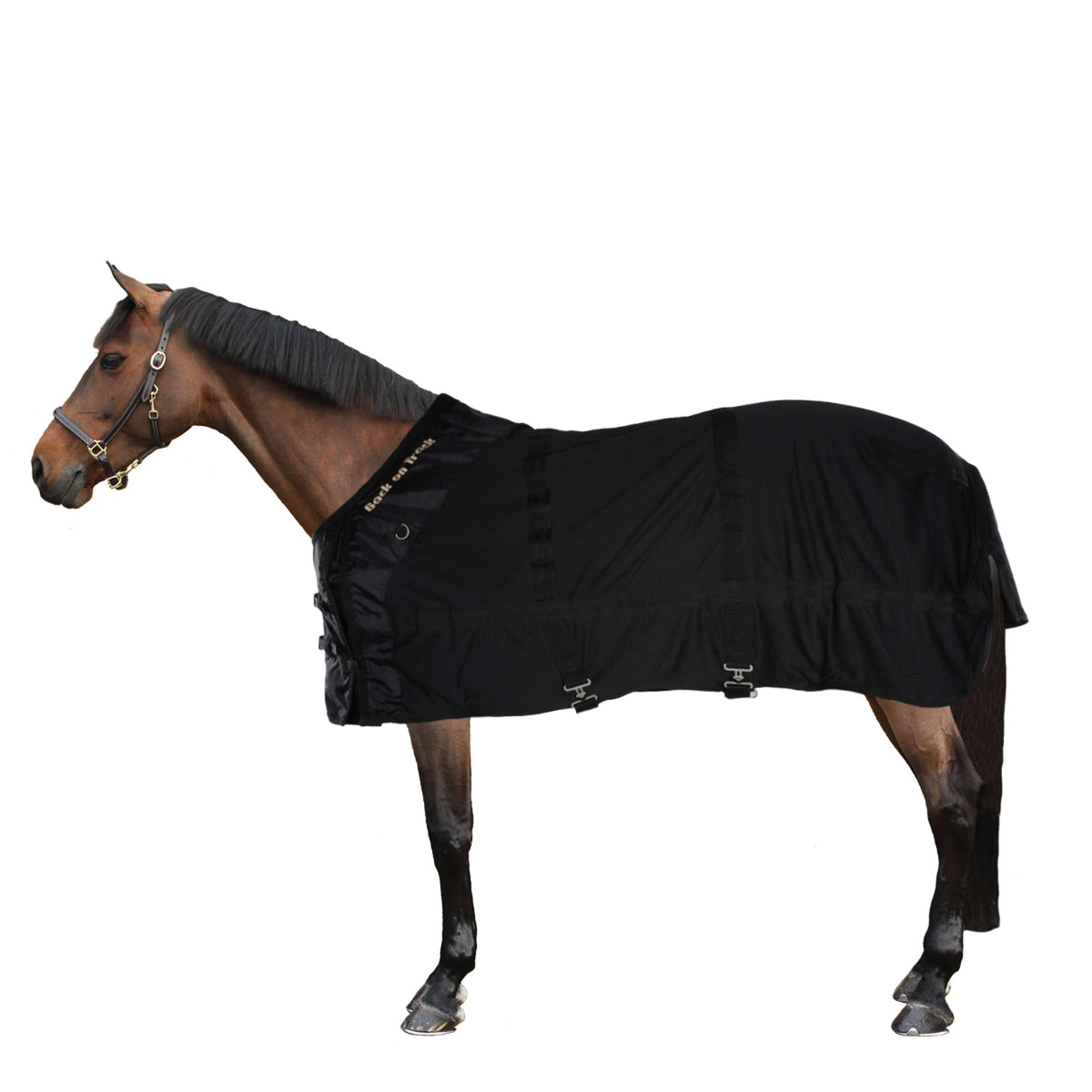 Back on Track Mesh Rug Horse Black