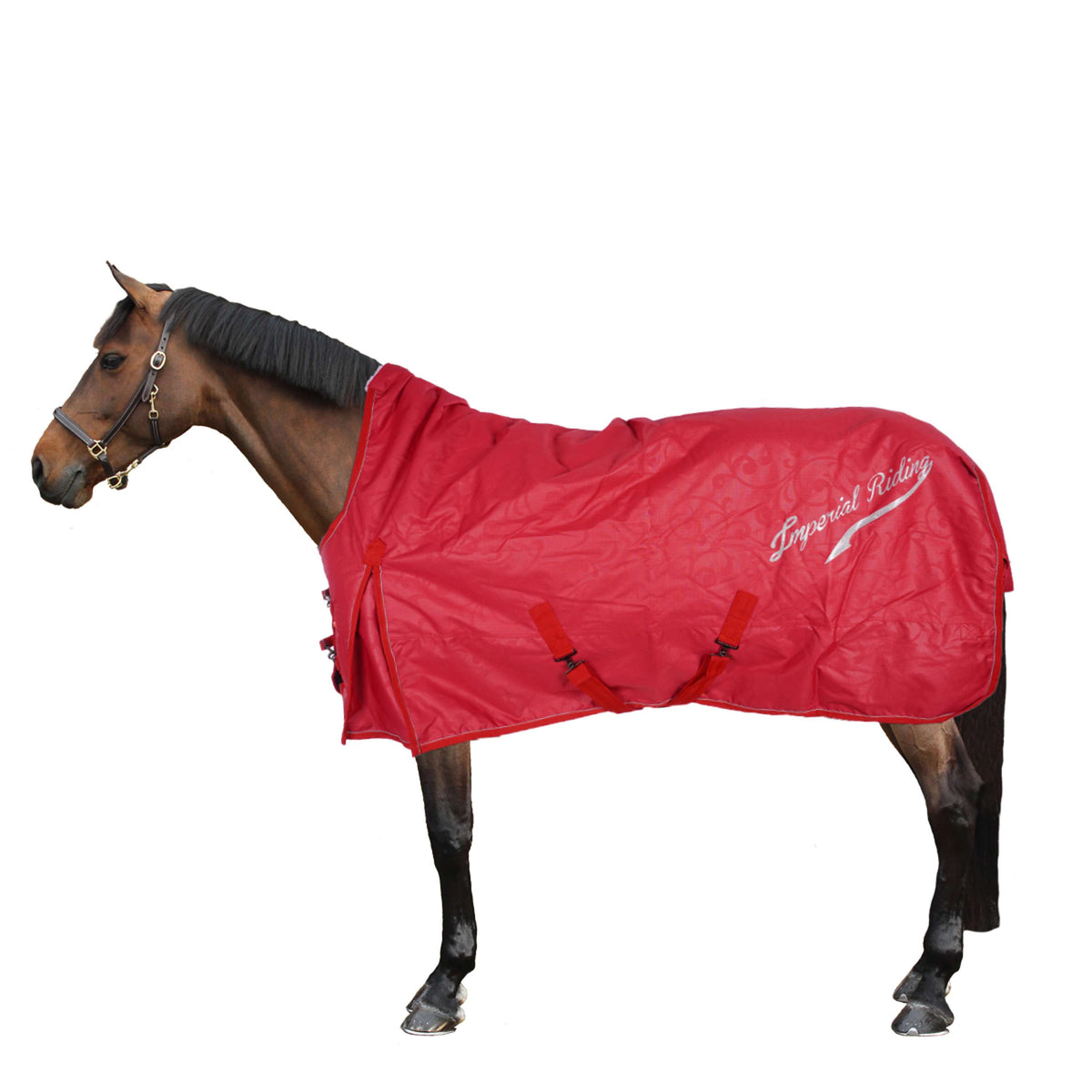 Imperial Riding Outdoor Rug Super-dry 200g Red