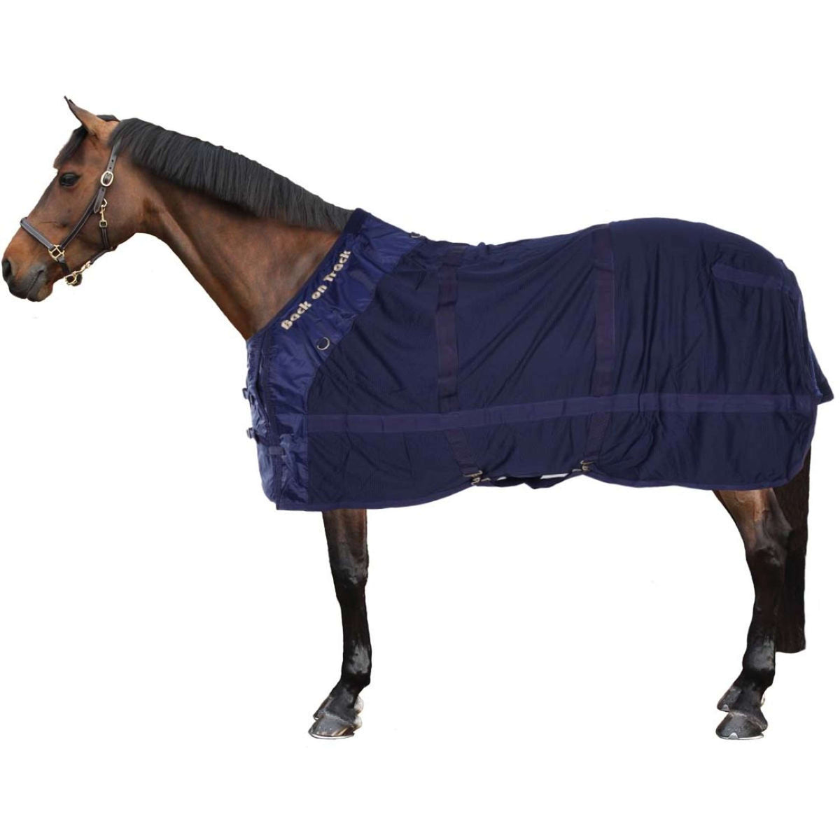 Back on Track Mesh Rug Horse Blue