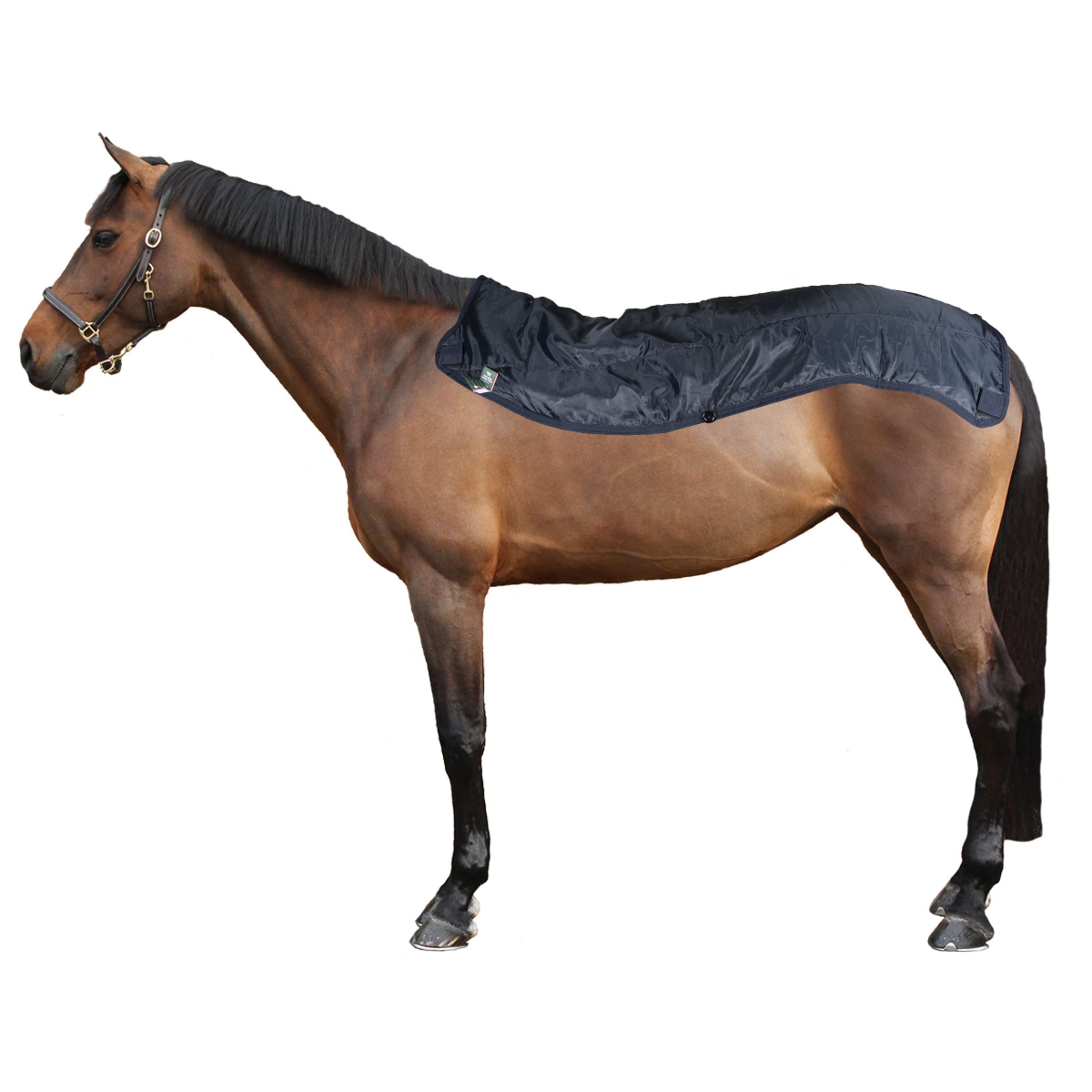 Rambo Summer Series Turnout 0g NavyGrey