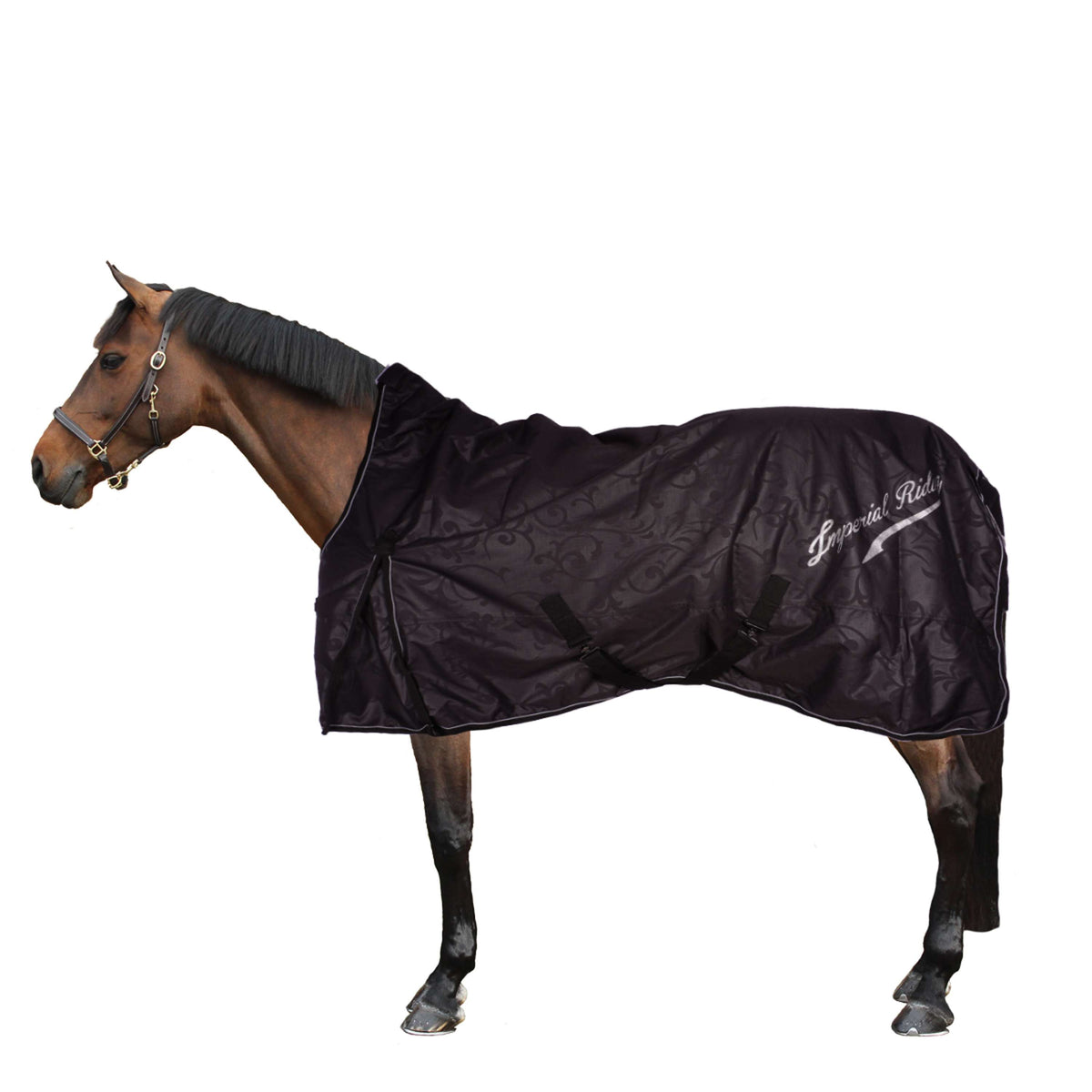 Imperial Riding Outdoor Rug Super-dry 100g Black