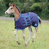 Tempest Original by Shires Foal Rug 200g Navy/Turquoise