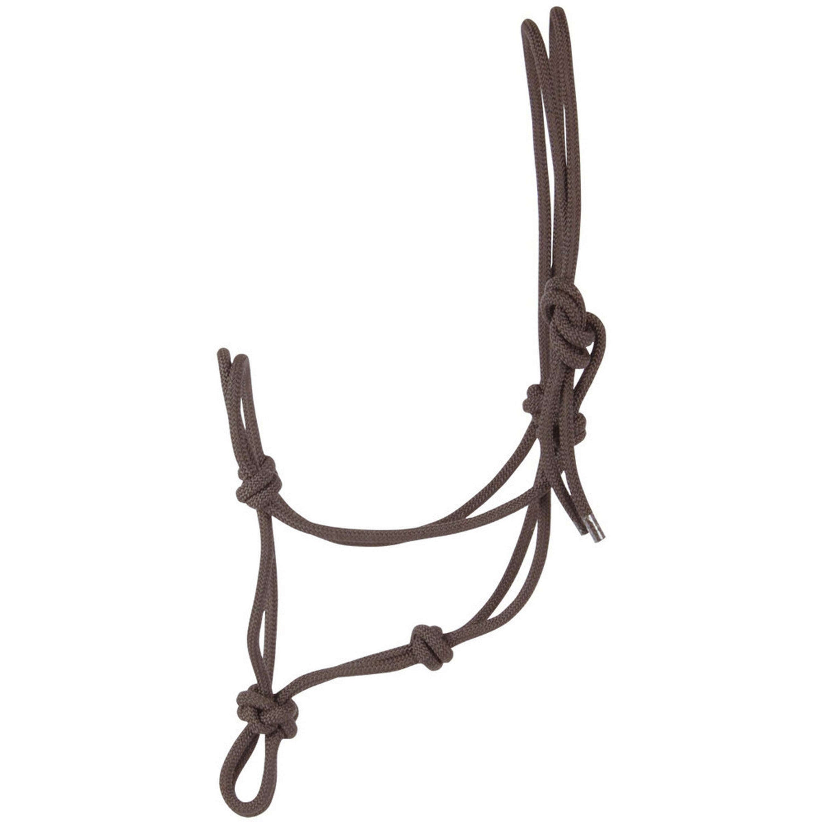 Riding World Halter Fine Ethologically Brown