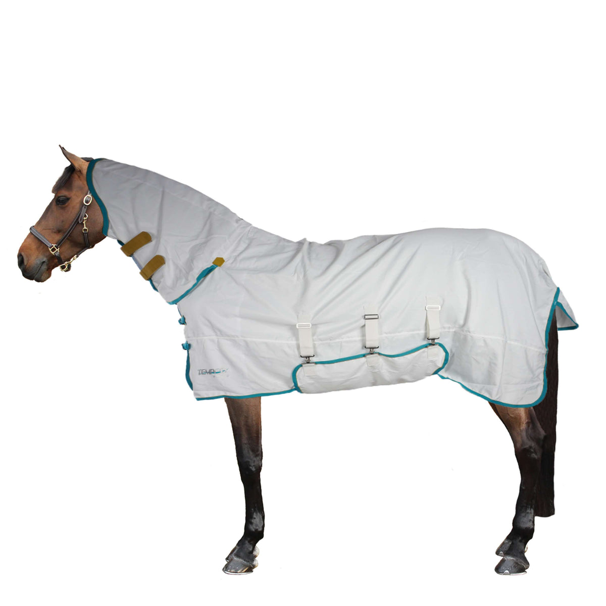 Tempest Plus Eczema Rug Sweet-Itch Combo White