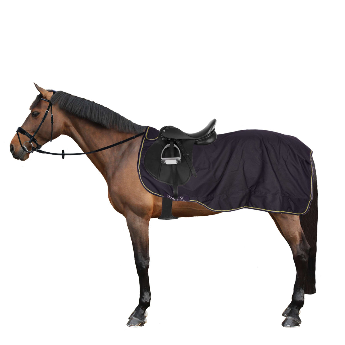 Tempest Original Exercise Rug Exercize Waterproof Navy