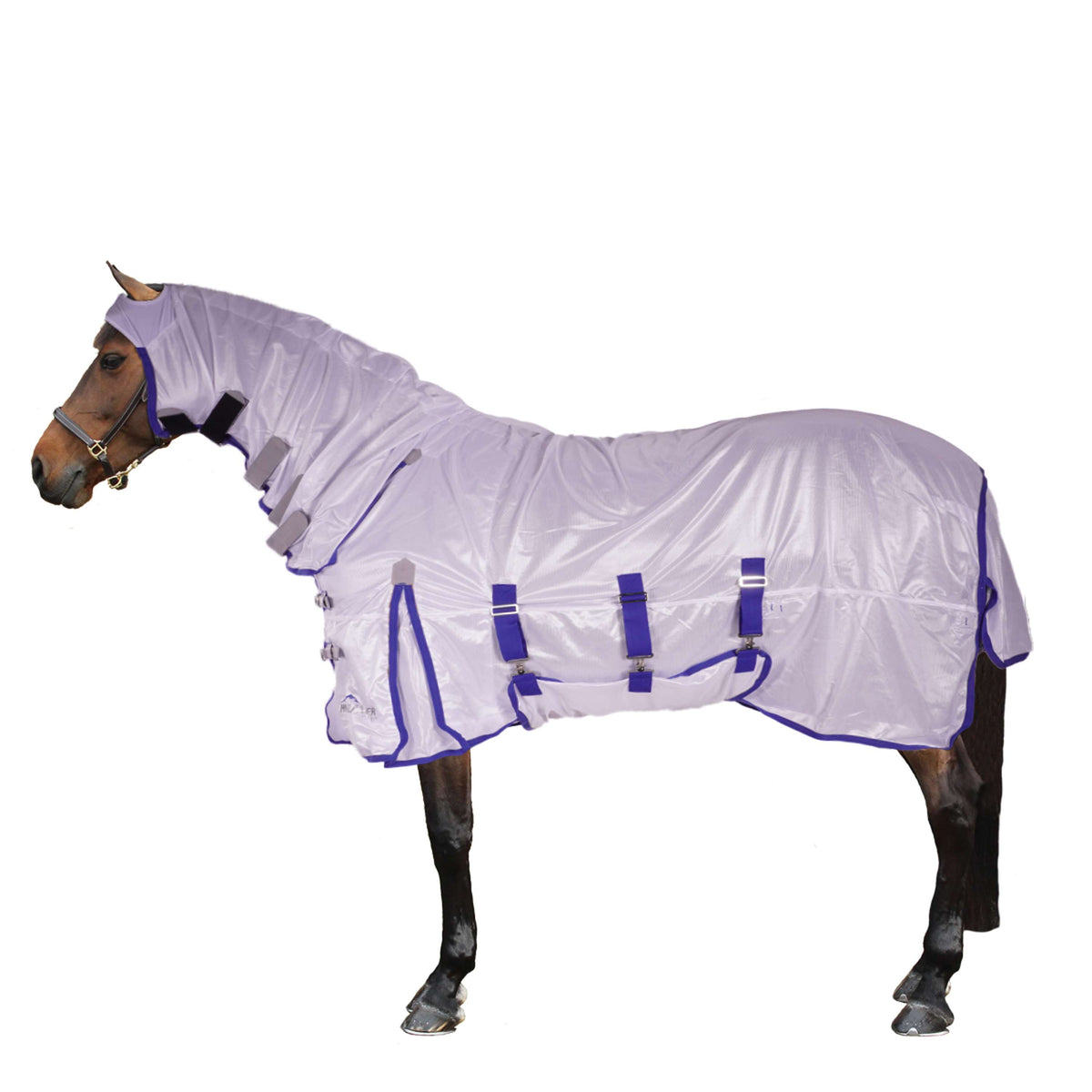 Highlander Plus by Shires Fly Rug Fly Combo White