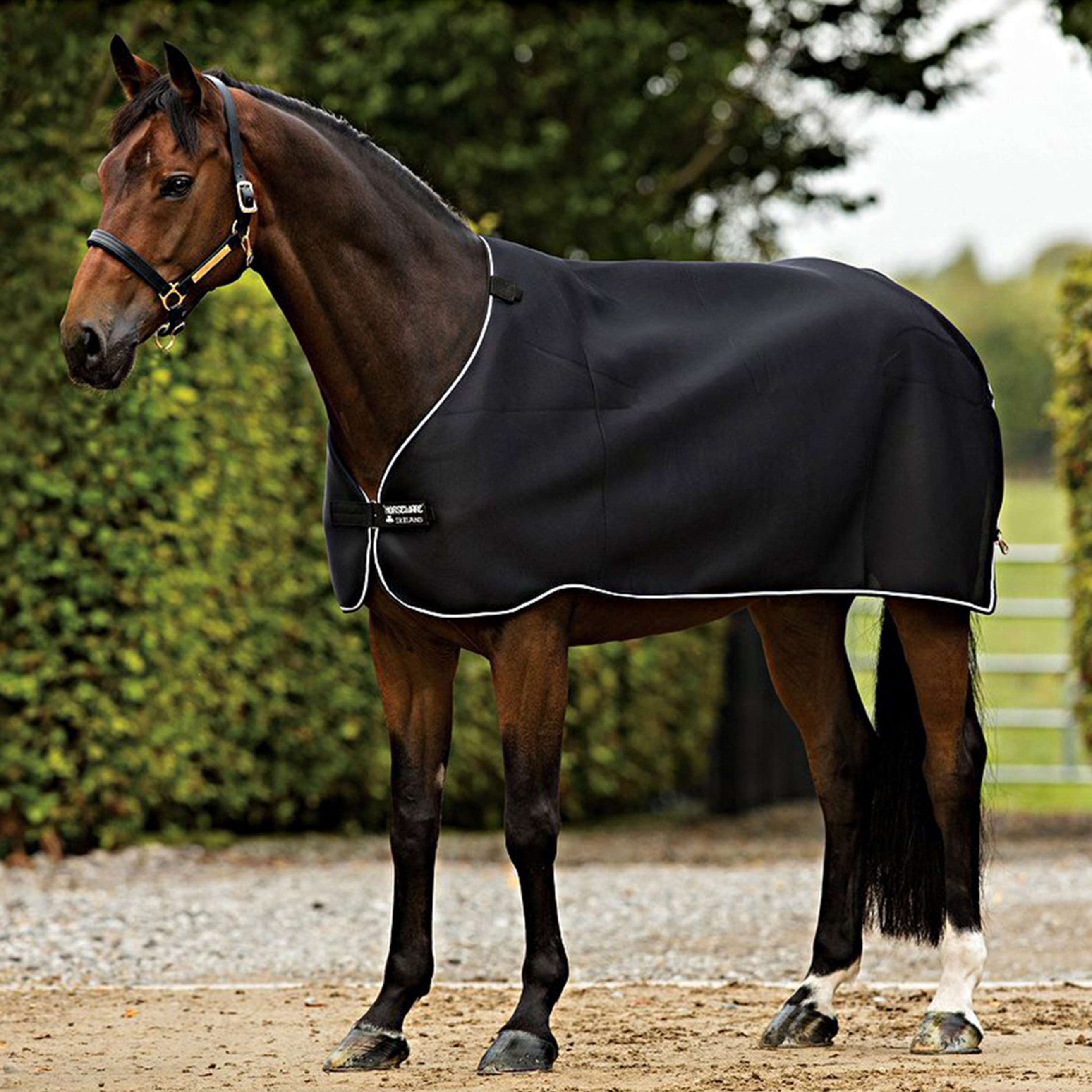 Rambo by Horseware Liner Airmax Black/White