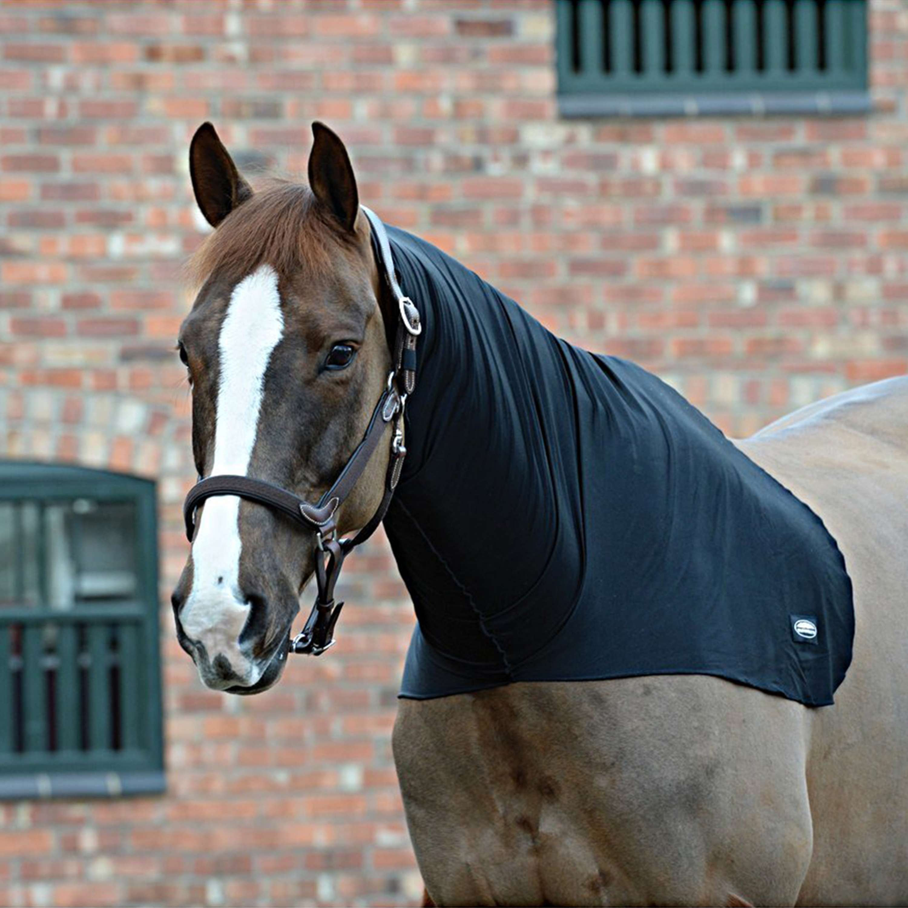 WeatherBeeta Neck Rug Stretch Black